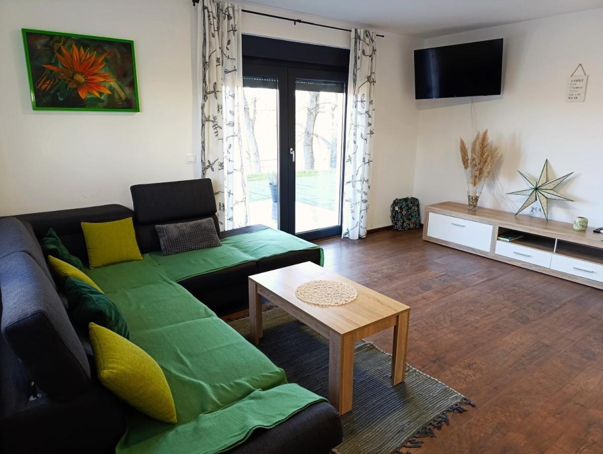 Kraljeva Hiza - Apartmani I Sobe Kralj Sveti Martin Na Muri Camera foto
